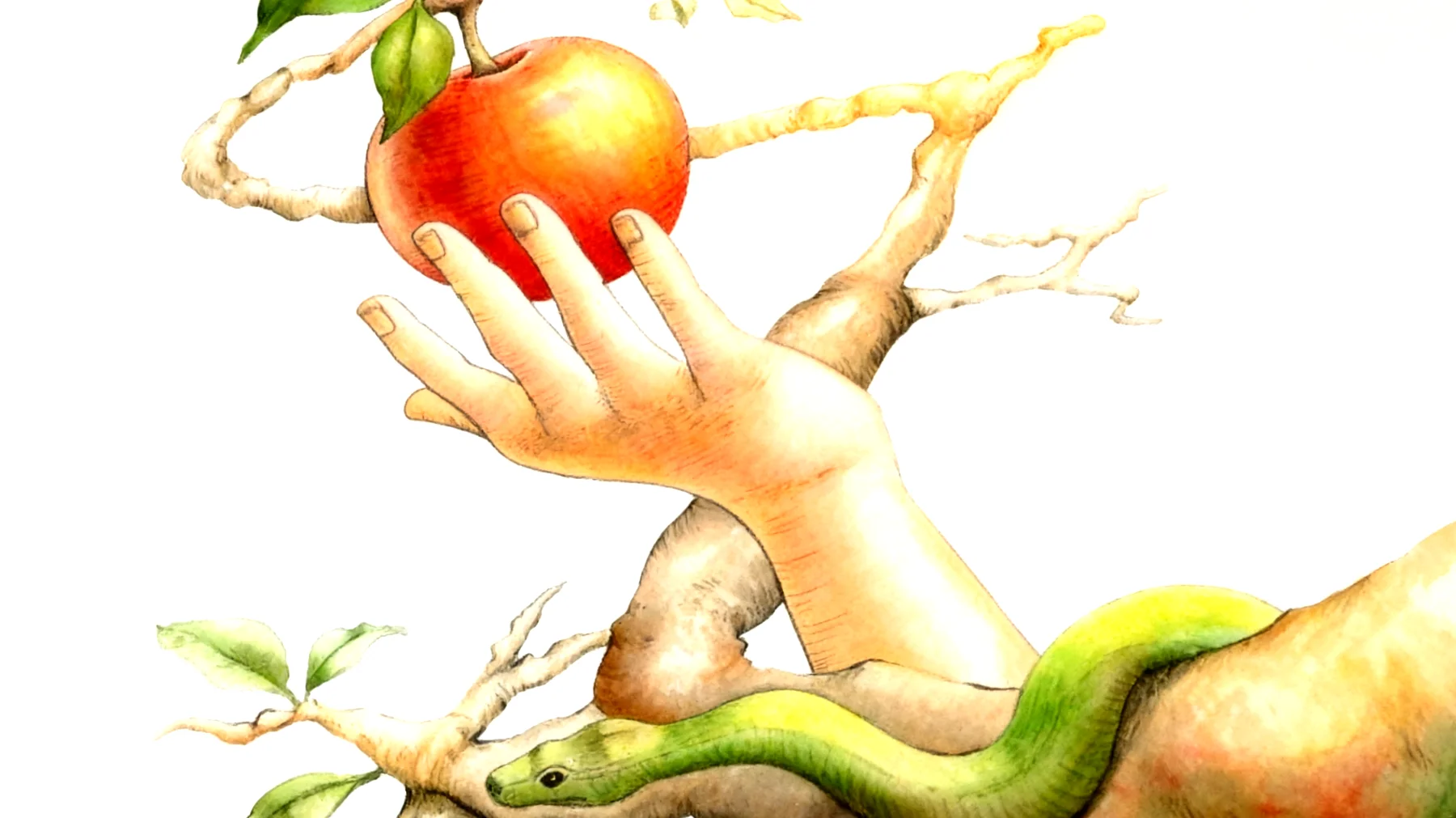 Forbidden Fruit2026-01-12T20:57:49.121Z"