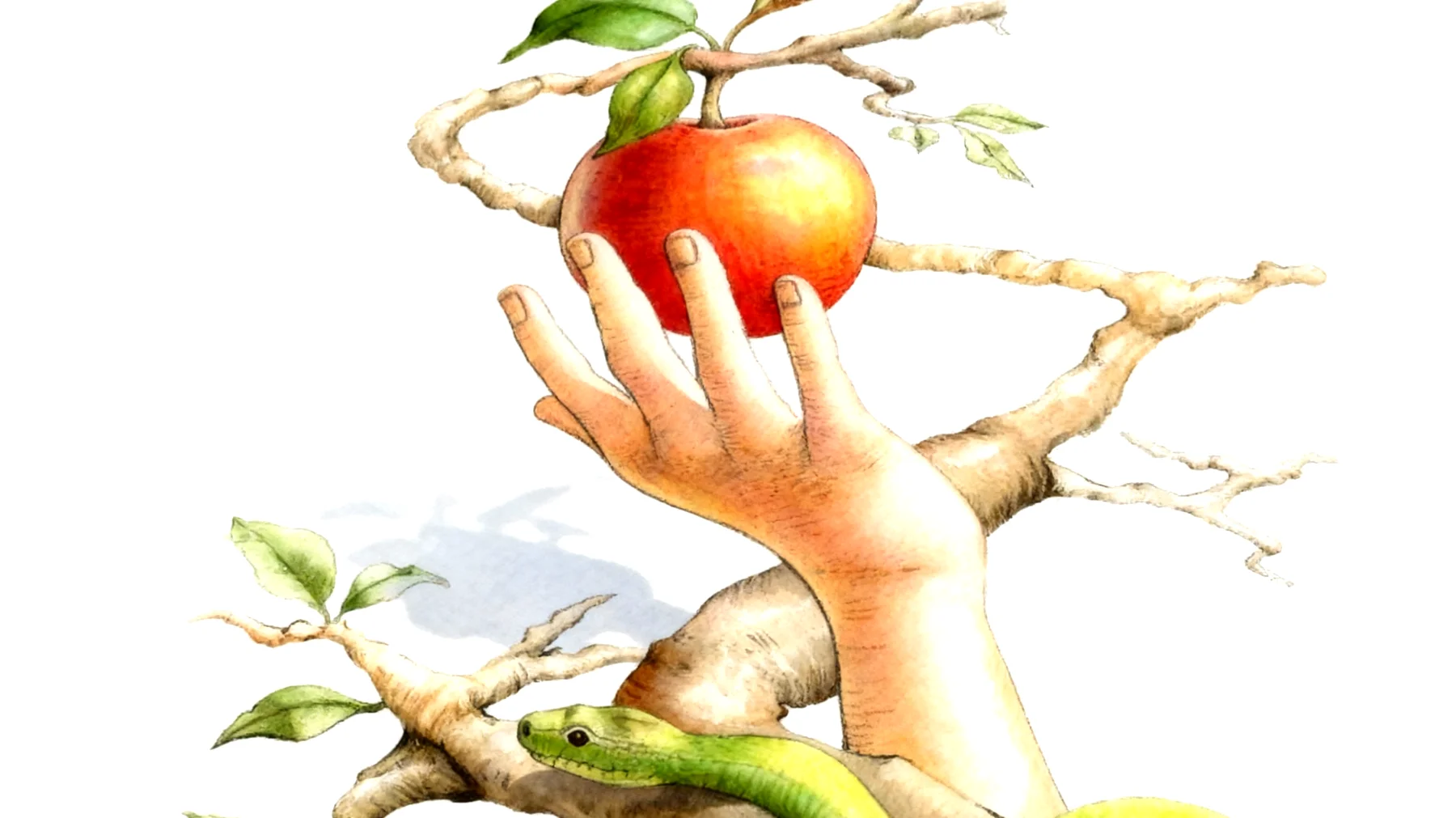 Forbidden Fruit2026-01-13T20:58:26.071Z"